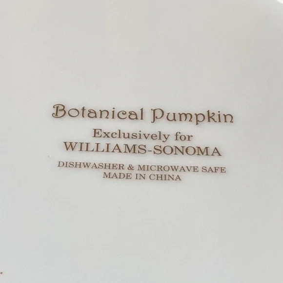 Sonoma Williams Botanical Pumpkin coupe soup bowl 8.75” x 2” deep - Picture 5 of 8